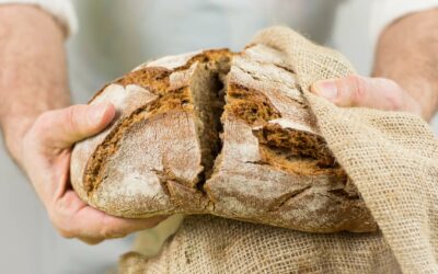 Boulangerie bio, locale, sans gluten : comment suivre les tendances sans perdre en rentabilité ?